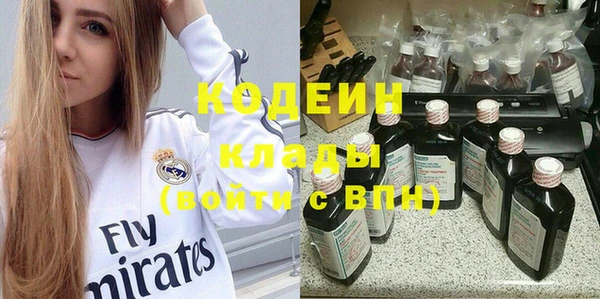 шишки Алзамай