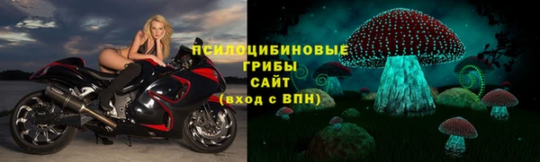 шишки Алзамай