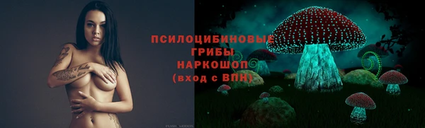 мяу мяу мука Абдулино