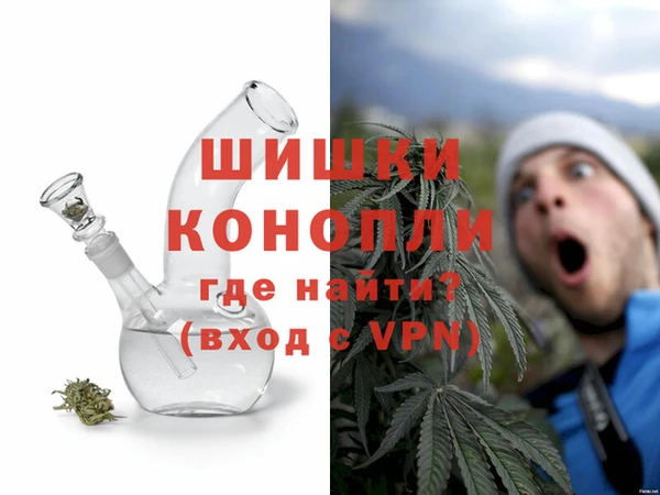 шишки Алзамай