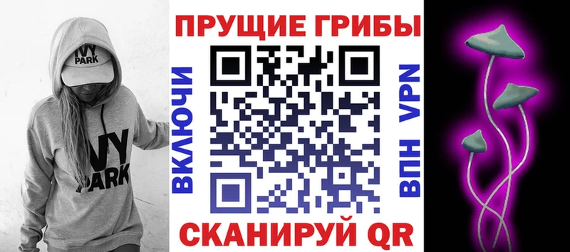 хочу   Усть-Илимск  Галлюциногенные грибы MAGIC MUSHROOMS 